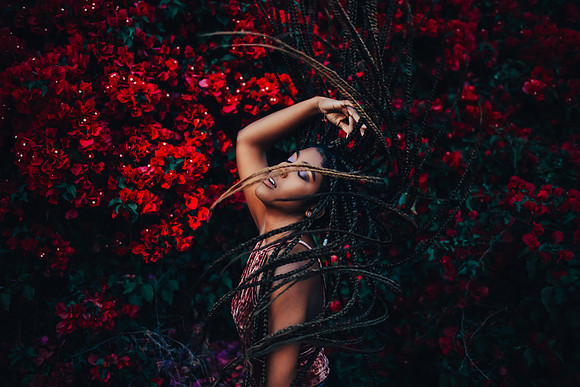 Jazz and the Bougainvillea