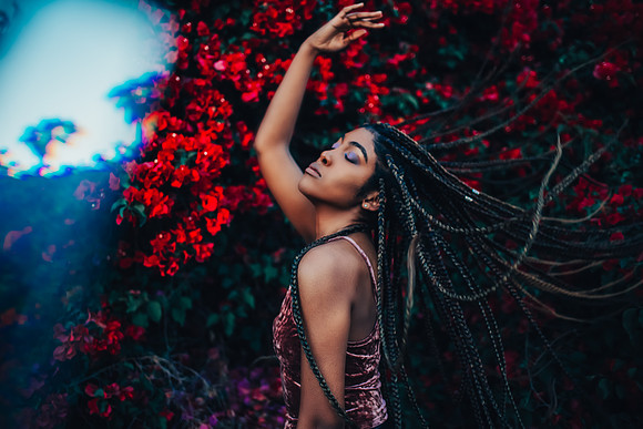 Jazz and the Bougainvillea