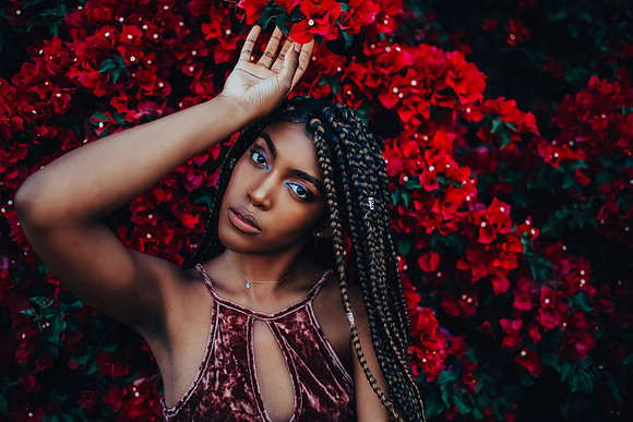 Jazz and the Bougainvillea