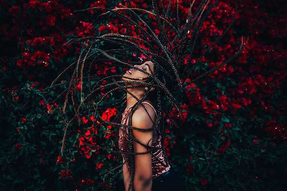 Jazz and the Bougainvillea