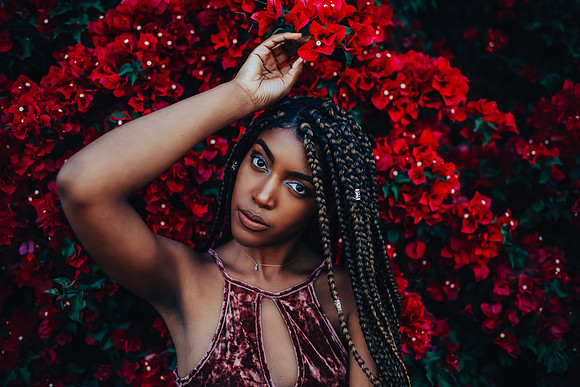 Jazz and the Bougainvillea